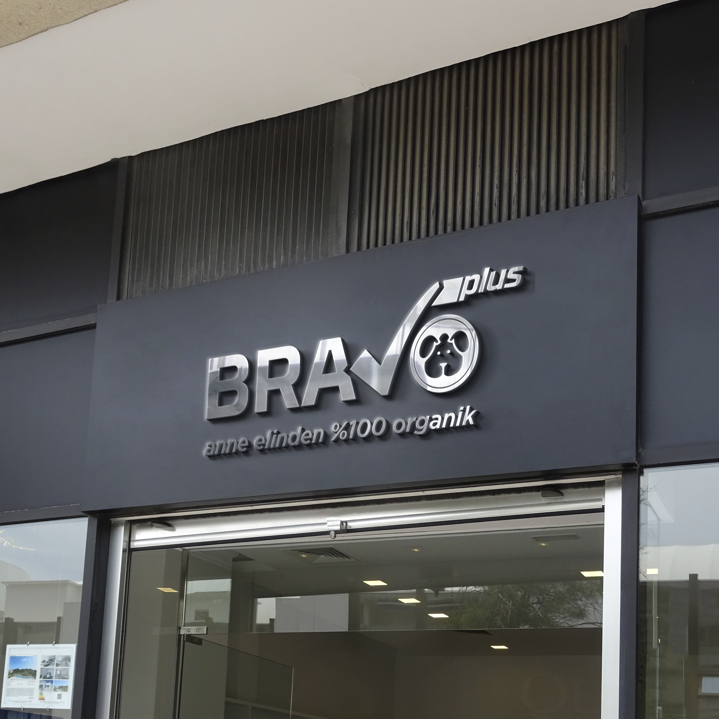 bravo dog